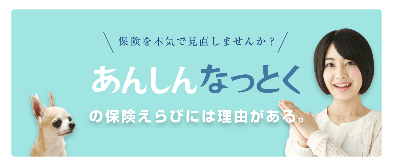 安心納得保険選び